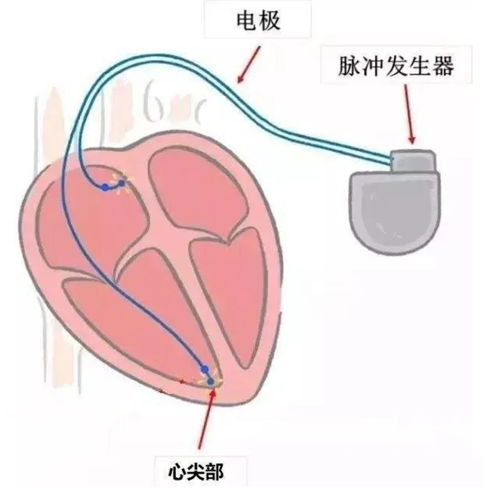 微信图片_20230525113159